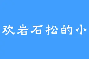 喜欢岩石松的小婉