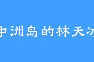 中洲岛的林天冰