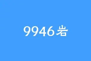 9946岩