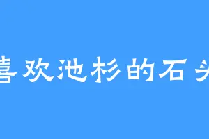 喜欢池杉的石头