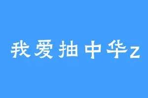 我爱抽中华z