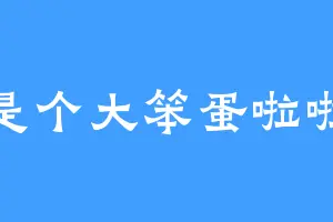 是个大笨蛋啦啦