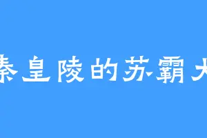 秦皇陵的苏霸大