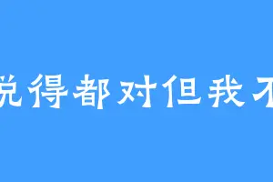 你说得都对但我不听