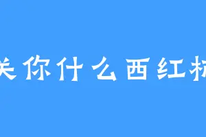 关你什么西红柿