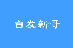 白发新哥