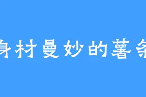 身材曼妙的薯条