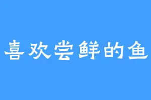 喜欢尝鲜的鱼