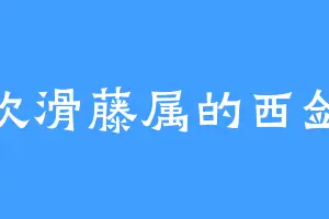 喜欢滑藤属的西剑风