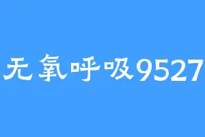 无氧呼吸9527