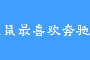 鼠鼠最喜欢奔驰了