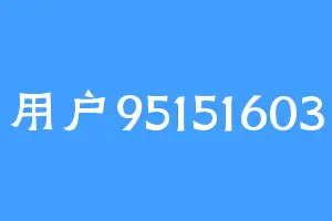 用户95151603