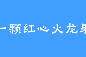 一颗红心火龙果
