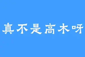 真不是高木呀