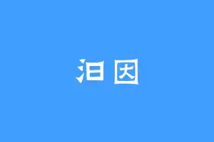 汩因