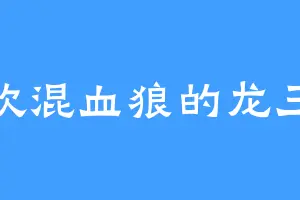 喜欢混血狼的龙三爷
