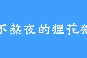 不熬夜的狸花猫
