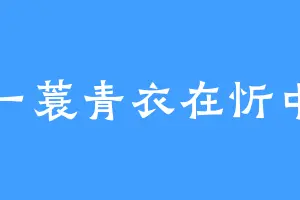 一蓑青衣在忻中
