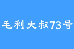 毛利大叔73号