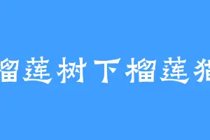 榴莲树下榴莲猫