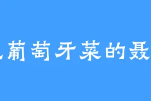 爱吃葡萄牙菜的聂无名