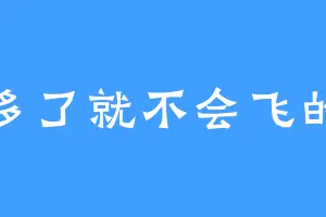 吃多了就不会飞的猪