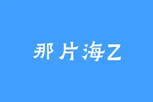 那片海Z