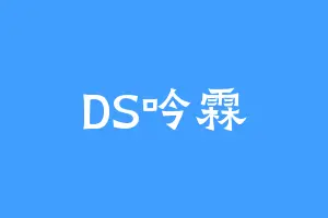 DS吟霖