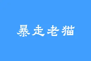 暴走老猫