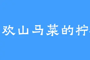 喜欢山马菜的柠檬