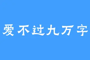 爱不过九万字