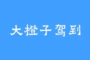大橙子驾到