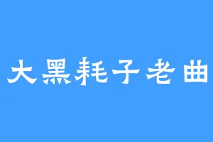 大黑耗子老曲