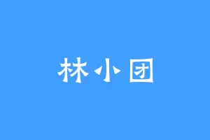 林小团