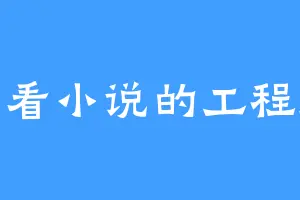 爱看小说的工程师