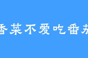 香菜不爱吃番茄