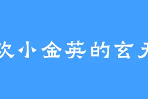 喜欢小金英的玄天宗
