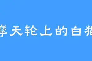 摩天轮上的白猫