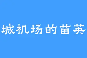 京城机场的苗英姐