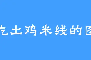 爱吃土鸡米线的图卫