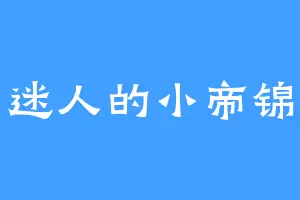 迷人的小帝锦