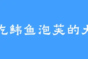 爱吃鲔鱼泡芙的大鹏