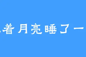 抱着月亮睡了一觉