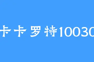 卡卡罗特10030