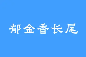 郁金香长尾