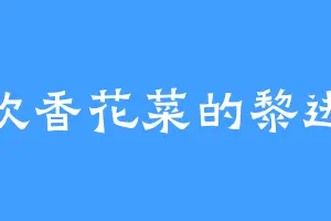 喜欢香花菜的黎进武
