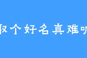 取个好名真难呐