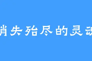 消失殆尽的灵魂