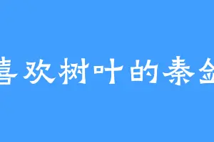 喜欢树叶的秦剑