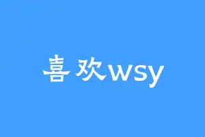 喜欢wsy